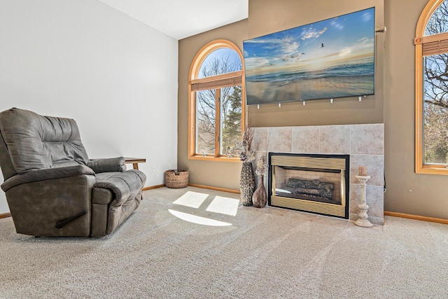 sitting room with baseboards and carpet flooring