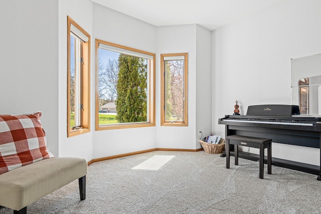 living area with carpet floors and baseboards