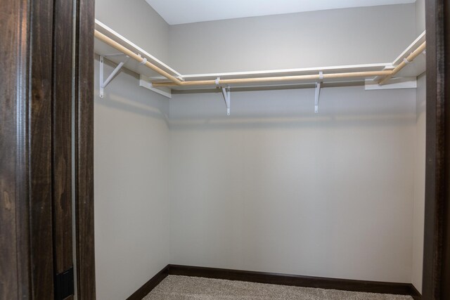 LOT4 Wilderness Ridge Rd SE, Alexandria Twp, MN 56308 - spacious closet featuring carpet