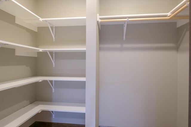 LOT4 Wilderness Ridge Rd SE, Alexandria Twp, MN 56308 - view of spacious closet