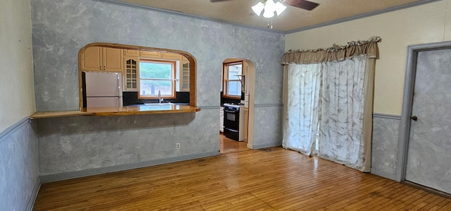 kitchen with freestanding refrigerator, a ceiling fan, black gas stove, light wood-type flooring, and a sink