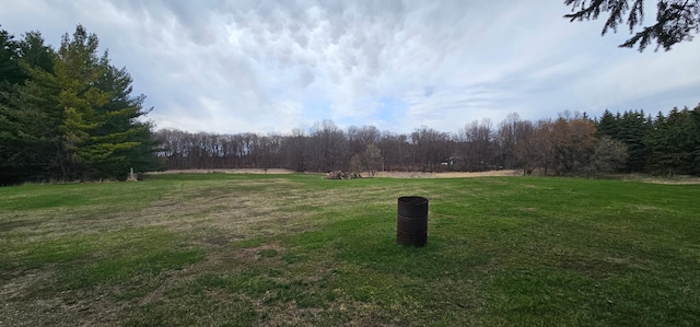 view of yard featuring a view of trees and a rural view