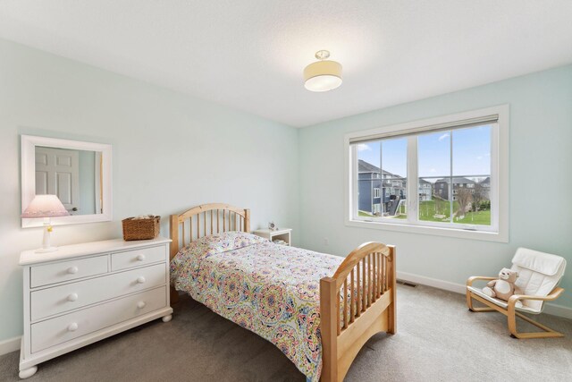 17776 58th Cir N, Plymouth, MN 55446 - photo 43