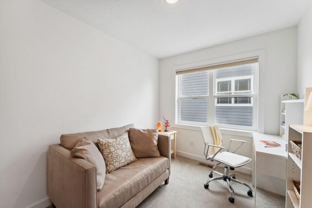 17776 58th Cir N, Plymouth, MN 55446 - photo 47