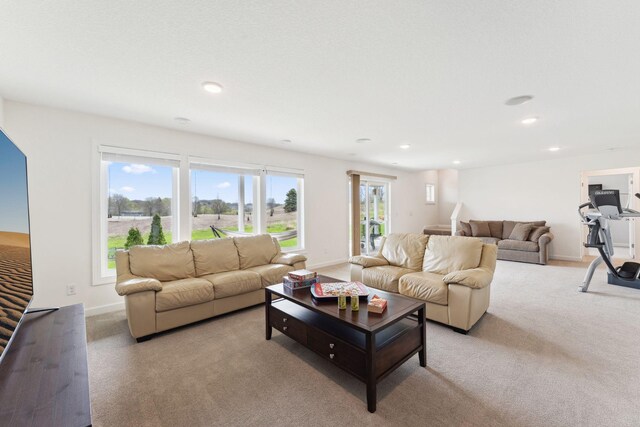 17776 58th Cir N, Plymouth, MN 55446 - photo 53