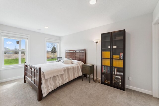 17776 58th Cir N, Plymouth, MN 55446 - photo 55