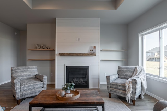 living area featuring baseboards, wood finished floors, and a large fireplace