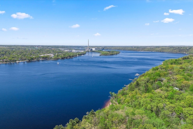 water view featuring a forest