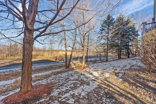 view of yard layered in snow