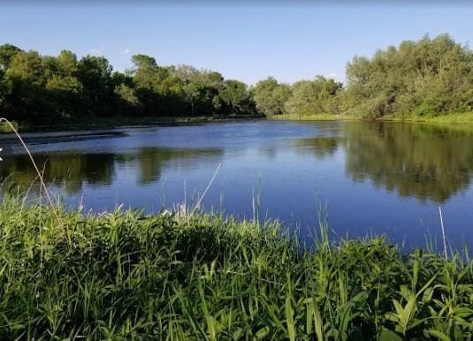 886 Trenton Ln N, Plymouth, MN 55441 - water view with a heavily wooded area
