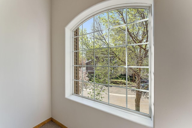 886 Trenton Ln N, Plymouth, MN 55441 - detailed view of baseboards