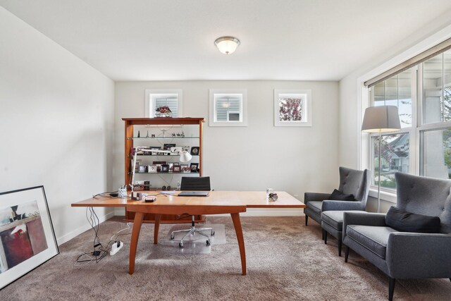 office space featuring carpet and baseboards