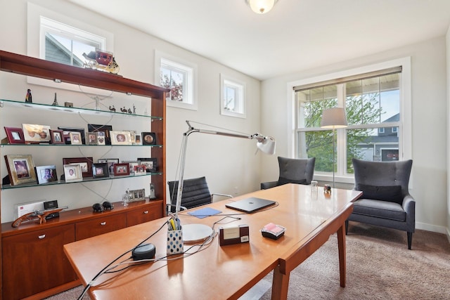 18032 72nd Pl N, Maple Grove, MN 55311 - office space with carpet flooring