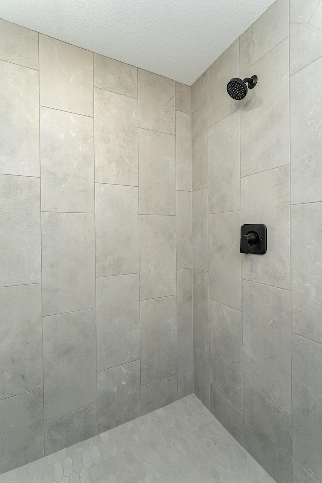 1812 Brandt Dr NE, Byron, MN 55920 - bathroom featuring tiled shower
