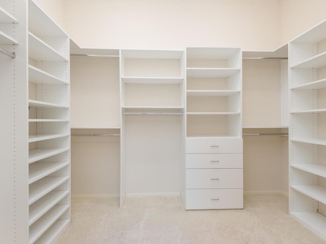 2673 Cedar Grn, Minnetonka, MN 55305 - walk in closet with light colored carpet