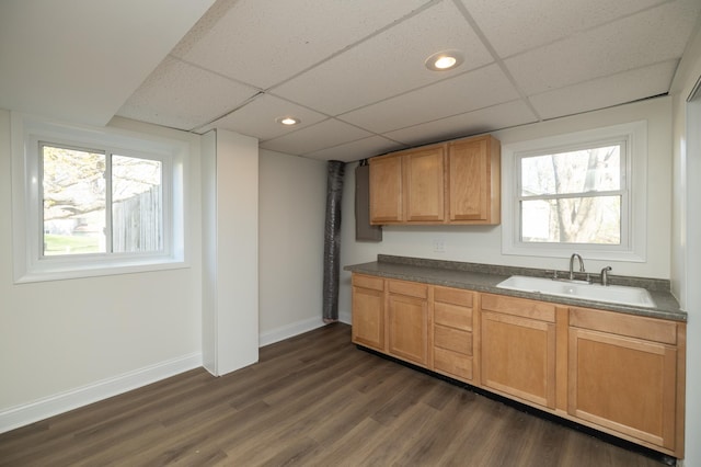 kitchen with a paneled ceiling, dark countertops, a sink, and dark wood-type flooring