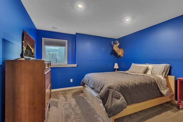 8619 State Highway 55 NW, Annandale, MN 55302 - carpeted bedroom with baseboards, recessed lighting, and a textured ceiling