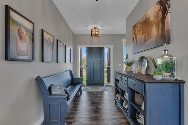 8619 State Highway 55 NW, Annandale, MN 55302 - foyer featuring baseboards and dark wood-type flooring