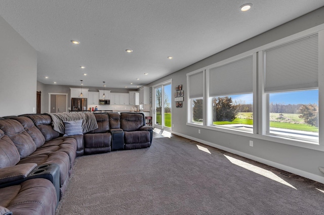 8619 State Highway 55 NW, Annandale, MN 55302 - living room with recessed lighting and dark colored carpet