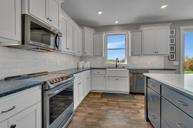 8619 State Highway 55 NW, Annandale, MN 55302 - kitchen with dark wood-style flooring, stainless steel appliances, recessed lighting, and a sink