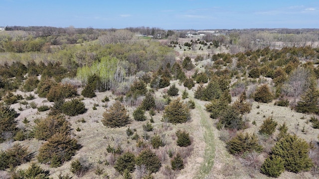 8619 State Highway 55 NW, Annandale, MN 55302 - drone / aerial view