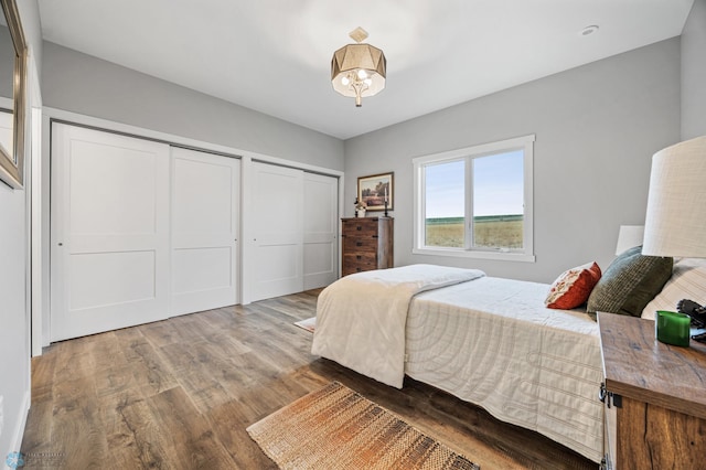 bedroom with wood finished floors and two closets