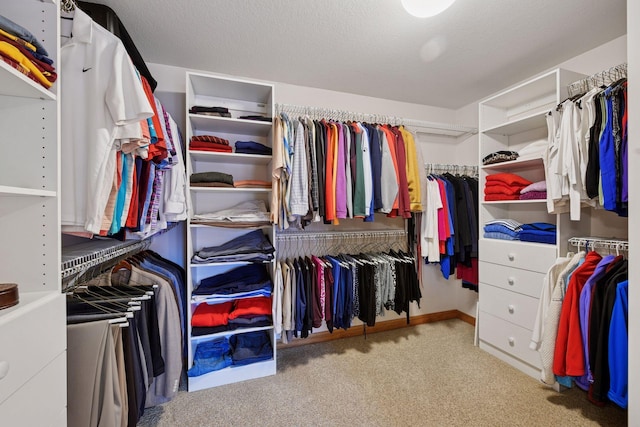 walk in closet featuring carpet flooring