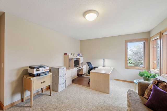 home office with light colored carpet and baseboards