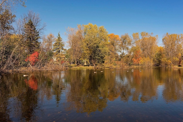 view of water feature featuring a forest view