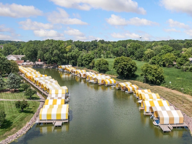 bird's eye view with a water view and a wooded view
