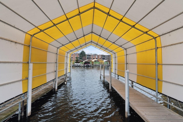 dock area with a water view