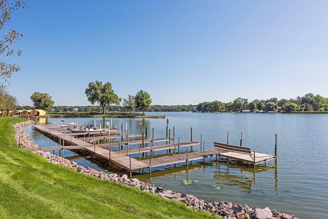 dock area with a water view