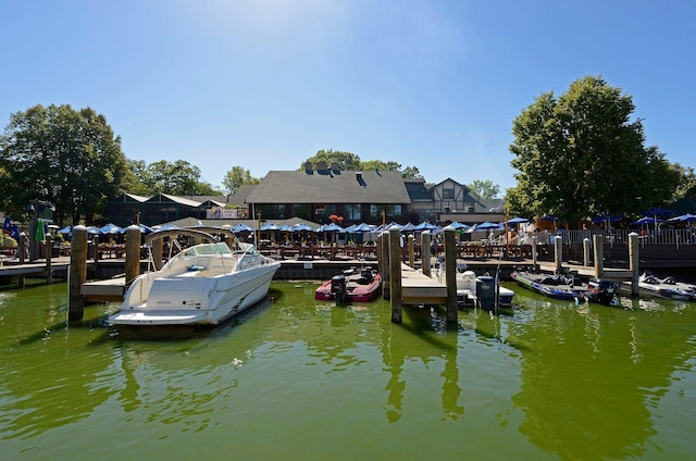 dock area with a water view