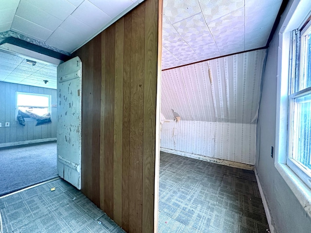 27227 Raven Rd, Spring Valley, MN 55975 - additional living space featuring wood walls and a healthy amount of sunlight