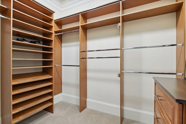 spacious closet with carpet