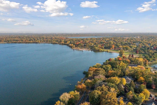 bird's eye view with a water view and a forest view