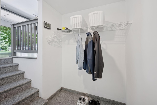 220 Willow Ln, Foley, MN 56329 - view of spacious closet