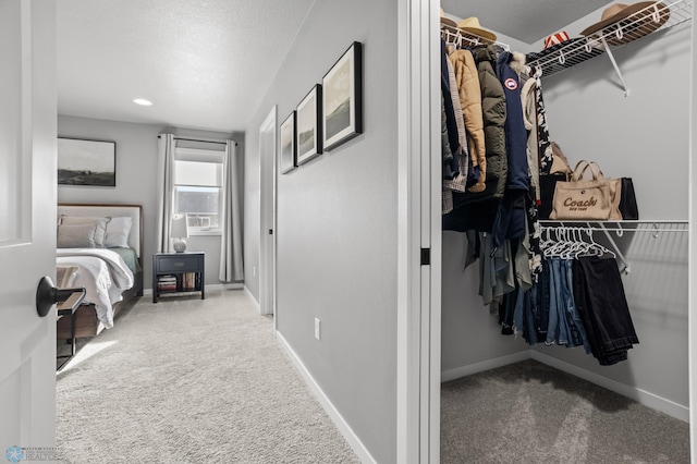 3682 Merrifield Dr S, Fargo, ND 58104 - walk in closet with carpet flooring