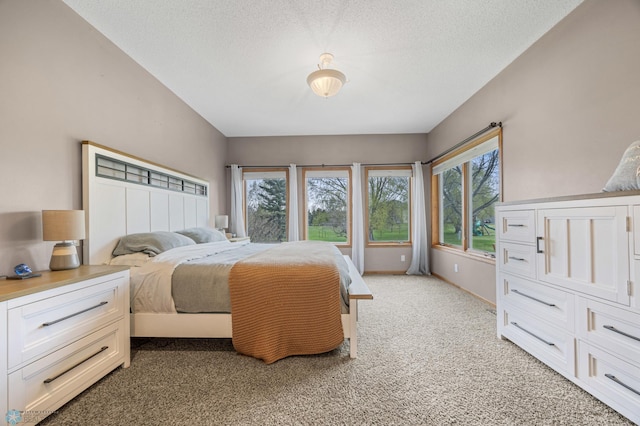 bedroom featuring baseboards, multiple windows, a textured ceiling, and light colored carpet