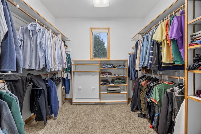 spacious closet with carpet