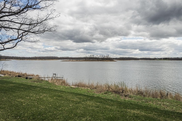 17292 Boyer Lake Rd, Lake Park, MN 56554 - water view