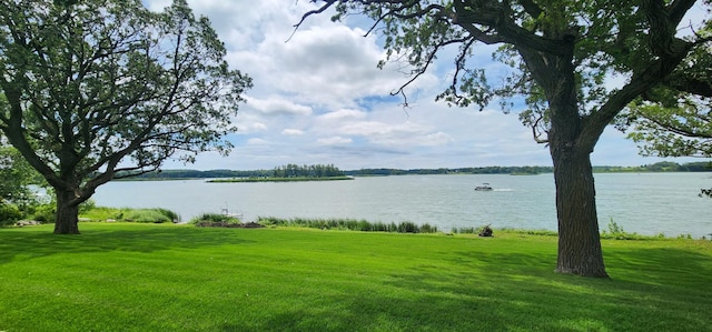 17292 Boyer Lake Rd, Lake Park, MN 56554 - photo 10