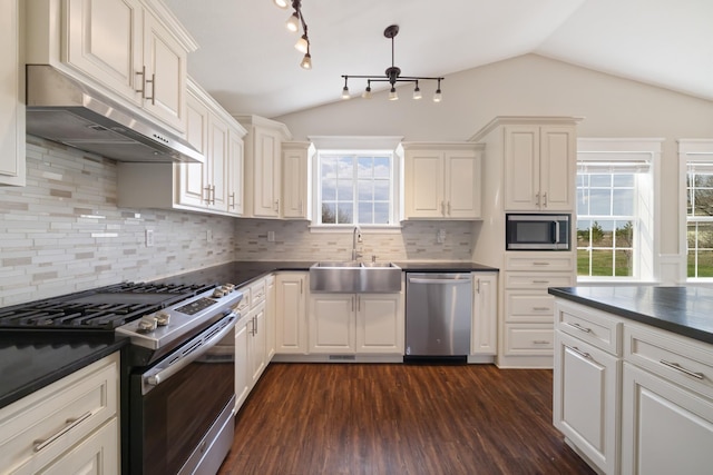 kitchen featuring lofted ceiling, dark countertops, under cabinet range hood, a sink, and stainless steel appliances