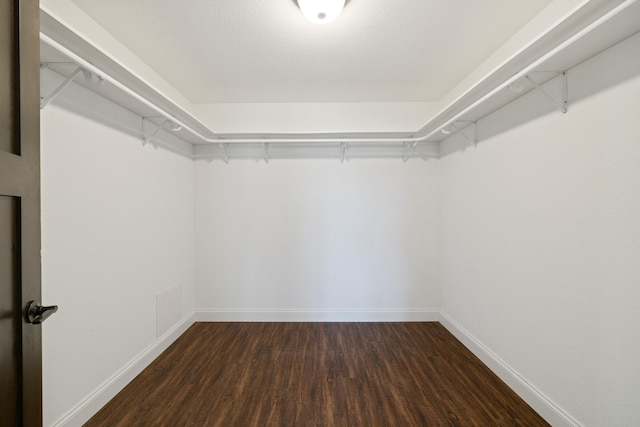 walk in closet with dark wood-style floors