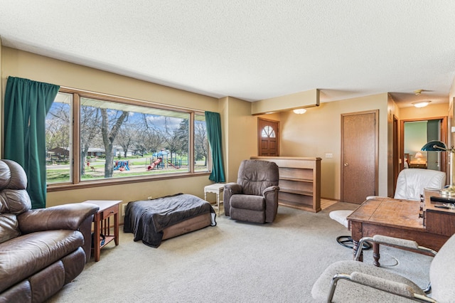 living area featuring carpet floors, a textured ceiling, and plenty of natural light
