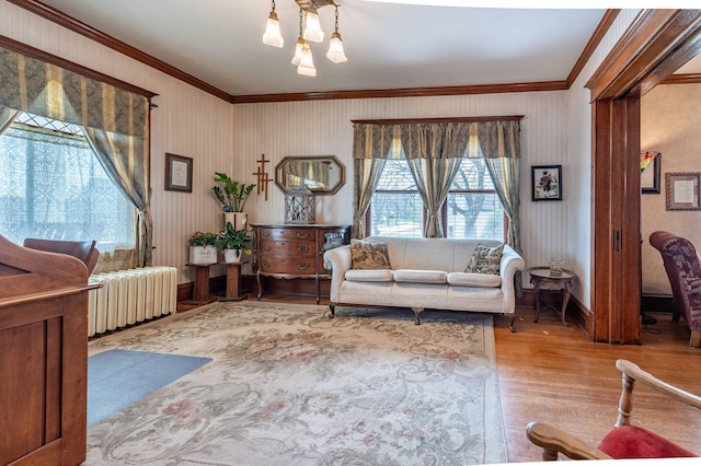 living room featuring crown molding, baseboards, radiator heating unit, and wood finished floors