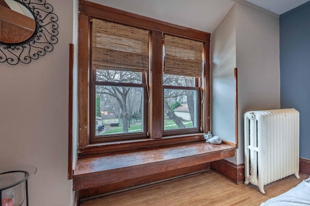 interior details featuring radiator heating unit and wood finished floors
