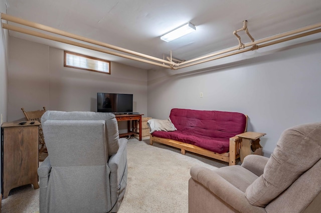 living room with carpet