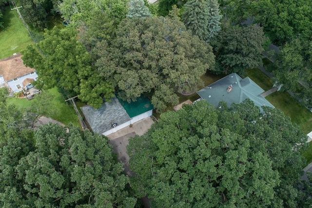 bird's eye view