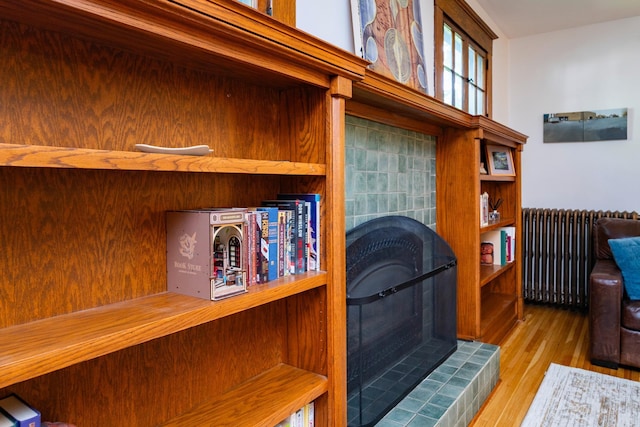 1043 Lincoln Ave, Saint Paul, MN 55105 - detailed view of radiator heating unit and wood finished floors